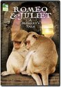 Romeo & Juliet: A Monkey's Tale (2005) кадры фильма смотреть онлайн в хорошем качестве