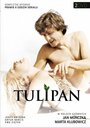 Смотреть «Тюльпан» онлайн сериал в хорошем качестве