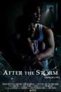 After the Storm (2009) трейлер фильма в хорошем качестве 1080p
