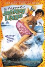 Легенда о Джонни Линго (2003) кадры фильма смотреть онлайн в хорошем качестве