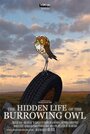 The Hidden Life of the Burrowing Owl (2008) кадры фильма смотреть онлайн в хорошем качестве