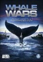 Китовые войны (2008) кадры фильма смотреть онлайн в хорошем качестве