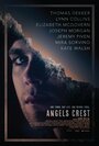 Герб ангелов (2011) трейлер фильма в хорошем качестве 1080p