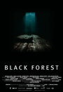Темный лес (2010) скачать бесплатно в хорошем качестве без регистрации и смс 1080p