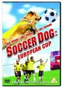 Король футбола: Кубок Европы (2004) кадры фильма смотреть онлайн в хорошем качестве