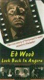 Смотреть «Эд Вуд: Оглянись в ангоре» онлайн фильм в хорошем качестве