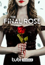 Смотреть «Последняя роза» онлайн фильм в хорошем качестве