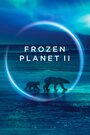Смотреть «BBC: Замерзшая планета 2» онлайн сериал в хорошем качестве