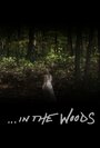 В лесах (2013) трейлер фильма в хорошем качестве 1080p
