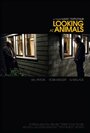 Looking at Animals (2009) трейлер фильма в хорошем качестве 1080p