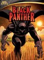 Черная Пантера (2010) скачать бесплатно в хорошем качестве без регистрации и смс 1080p
