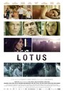 Лотос (2011) кадры фильма смотреть онлайн в хорошем качестве