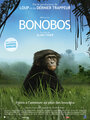 Смотреть «Бонобо» онлайн фильм в хорошем качестве