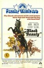 Черный красавчик (1971) скачать бесплатно в хорошем качестве без регистрации и смс 1080p