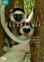 BBC: Мадагаскар (2011) трейлер фильма в хорошем качестве 1080p