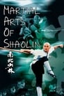 Смотреть «Храм Шаолинь 3: Боевые искусства Шаолиня» онлайн фильм в хорошем качестве