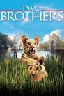 Два брата (2004) трейлер фильма в хорошем качестве 1080p