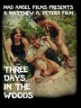 Смотреть «Three Days in the Woods» онлайн фильм в хорошем качестве