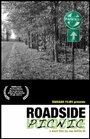 Roadside Picnic (2011) кадры фильма смотреть онлайн в хорошем качестве
