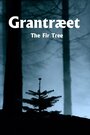 Grantræet (2011) скачать бесплатно в хорошем качестве без регистрации и смс 1080p