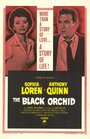 Черная орхидея (1958) трейлер фильма в хорошем качестве 1080p