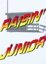 Raisin' Junior Baywatch: Tiger Woods vs. Dale Jr (2011) скачать бесплатно в хорошем качестве без регистрации и смс 1080p