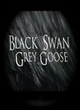 Черный лебедь, серый гусь (2011) трейлер фильма в хорошем качестве 1080p