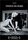 Венера в мехах (1994) трейлер фильма в хорошем качестве 1080p