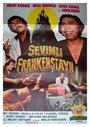 Sevimli Frankenstayn (1975) кадры фильма смотреть онлайн в хорошем качестве