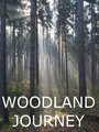 Woodland Journey (2011) кадры фильма смотреть онлайн в хорошем качестве