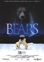 Медведи (2004) трейлер фильма в хорошем качестве 1080p