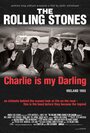 The Rolling Stones: Чарли — моя лапочка (2012) скачать бесплатно в хорошем качестве без регистрации и смс 1080p