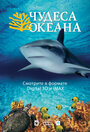 Чудеса океана 3D (2003) скачать бесплатно в хорошем качестве без регистрации и смс 1080p