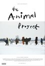 The Animal Project (2013) кадры фильма смотреть онлайн в хорошем качестве