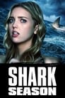 Сезон акул (2020) кадры фильма смотреть онлайн в хорошем качестве