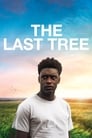 Смотреть «Последнее дерево» онлайн фильм в хорошем качестве
