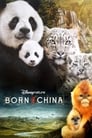 Рождённые в Китае (2016) кадры фильма смотреть онлайн в хорошем качестве