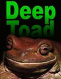 Deep Toad (2003) скачать бесплатно в хорошем качестве без регистрации и смс 1080p