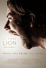 Lion (2014) кадры фильма смотреть онлайн в хорошем качестве