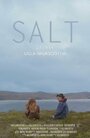 Salt (2014) скачать бесплатно в хорошем качестве без регистрации и смс 1080p