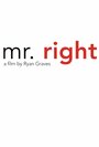 Смотреть «Mr. Right» онлайн фильм в хорошем качестве