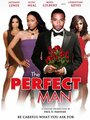 Смотреть «The Perfect Man» онлайн фильм в хорошем качестве