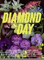 Diamond Day (2015) кадры фильма смотреть онлайн в хорошем качестве