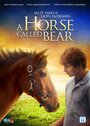 A Horse Called Bear (2015) кадры фильма смотреть онлайн в хорошем качестве