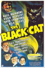 Черный кот (1941) кадры фильма смотреть онлайн в хорошем качестве