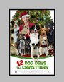 Смотреть «12 Dog Days of Christmas» онлайн фильм в хорошем качестве