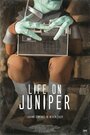 Life on Juniper (2015) скачать бесплатно в хорошем качестве без регистрации и смс 1080p