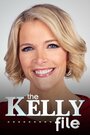 The Kelly File (2013) скачать бесплатно в хорошем качестве без регистрации и смс 1080p
