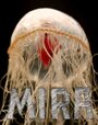 Смотреть «Mira» онлайн фильм в хорошем качестве