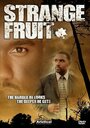 Смотреть «Strange Fruit» онлайн фильм в хорошем качестве